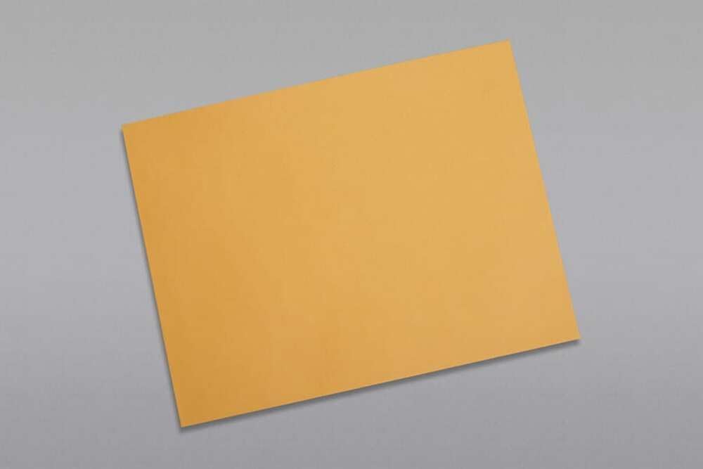 Limited Papers (TM) Booklet Envelopes, (Open Side) Brown Kraft, Gummed Seal, 28 Pound, Heavyweight, For Mailing And More. (250, 10 x 15)