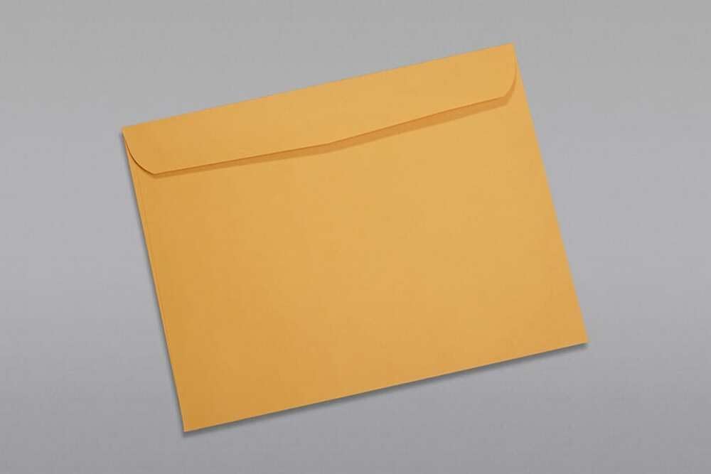 Limited Papers (TM) Booklet Envelopes, (Open Side) Brown Kraft, Gummed Seal, 28 Pound, Heavyweight, For Mailing And More. (500, 10 x 15)
