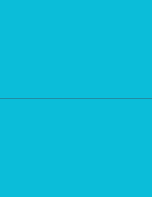 NextDayLabels - 8-1/2 x 11 Neon Color High Light Fluorescent Labels for Laser & Inkjet Printer (Blue Fluorescent, 8-1/2" x 5-1/2" - 2 Per Page | 200 Labels)