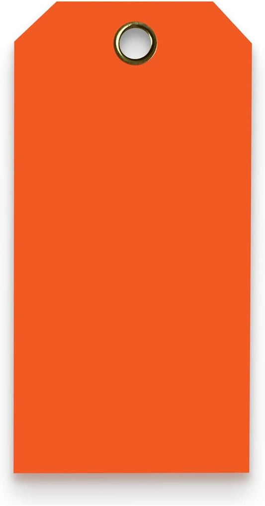 Tags 4 Less 15 Mil Waterproof Plastic Tags, Pack of 100 – 2” x 4” Heavy Duty Plastic Tags for Labeling, Outdoor Tagging, Equipment Labeling, Luggage, Valves & More (Orange)