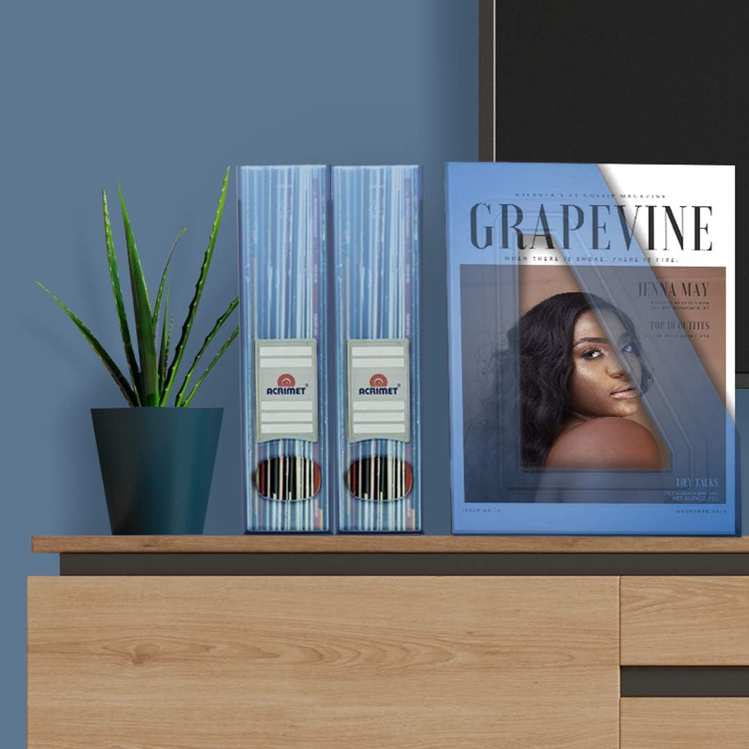 Acrimet Magazine File Holder, Durable Rack, Space-Saving Organizer (Plastic) (Clear Blue Color) (2 pack)