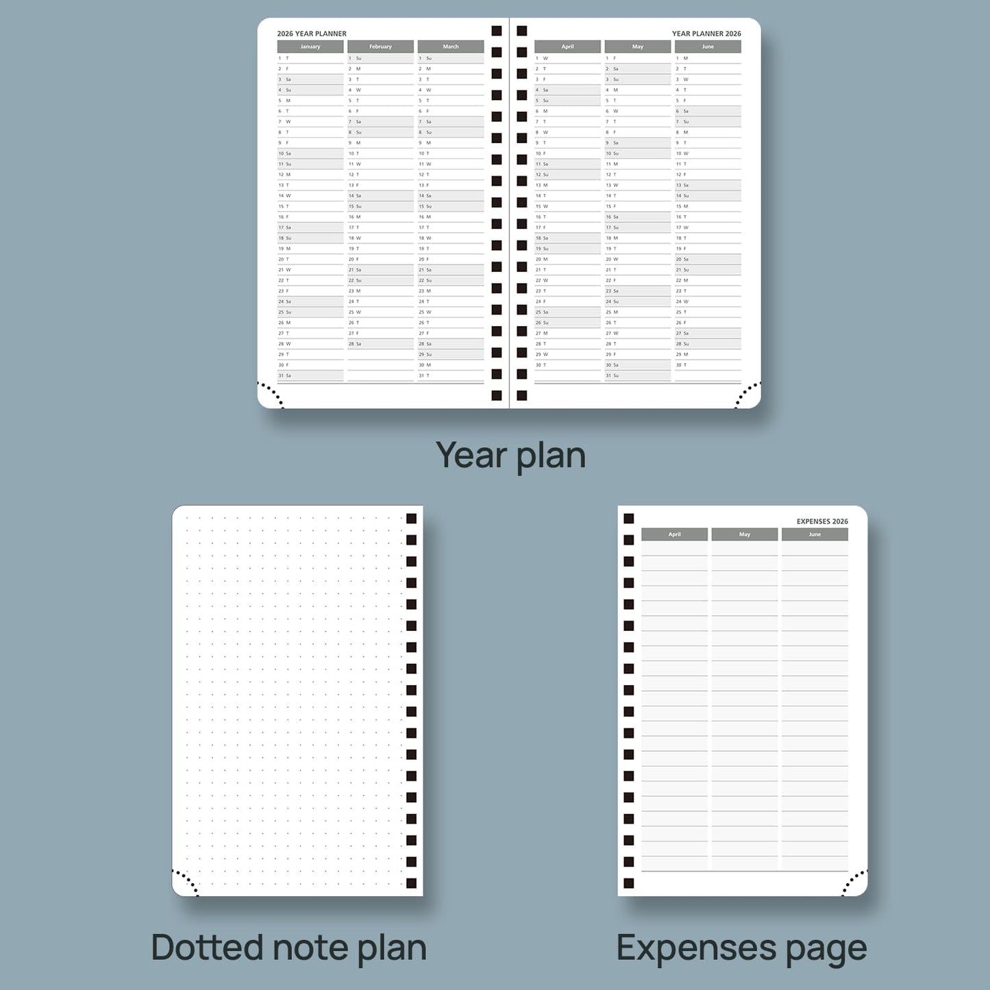 POPRUN Pocket 2026 Planner (Small Size- 4'' x 6.25'') Weekly and Monthly for Purse - Calendar 2026 (Jan. 2026 - Dec.2026) with Soft Cover, Plastic Ruler - Pacific Green