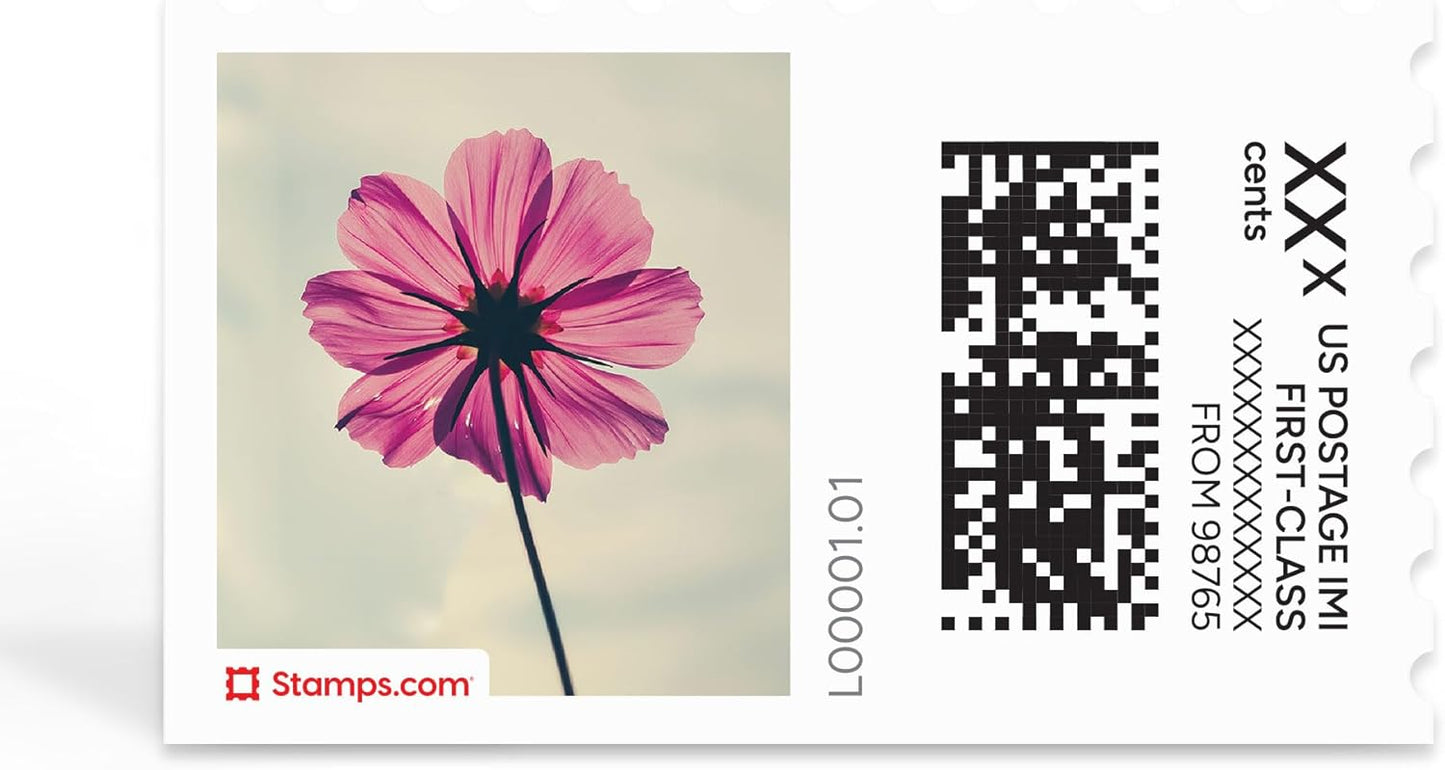Pink Cosmos NetStamps 120-Pack (5 Sheets) Printable Postage Labels (Stamps.com Subscription Required) - Print Approved Postage - Inkjet & Laser Printers - Business, Personal, Home