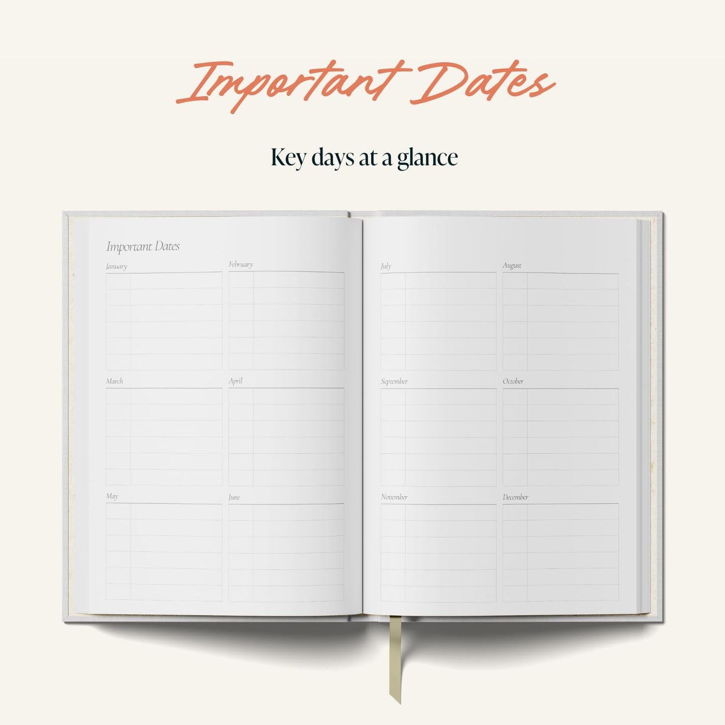 Yop & Tom Undated Daily Planner - Productivity Planner - Weekly and Daily Organizer with Time Slots - Sand