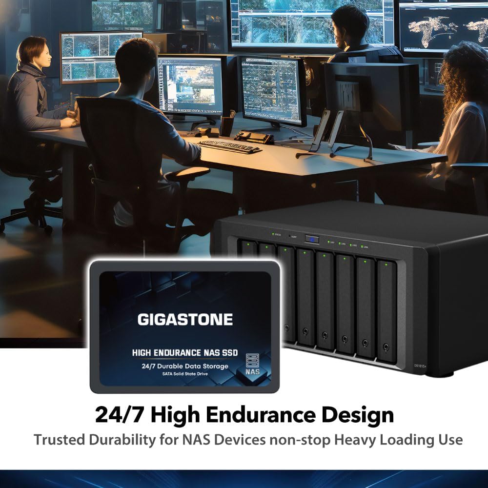 Gigastone 4TB NAS SSD Drive (2-Pack) 24/7 Durable High Endurance RAID Data Storage Network Attached Storage 2.5" SATA Internal Solid State Hard Drives