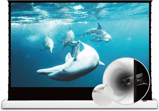 VIVIDSTORM- Projector Screen S 120 Inch Portable Folding Stand Floor Rising Movie Screen Sound Transparent Perforated White Screen Compatible with Ordinary Projector,VWSDSTPW120H