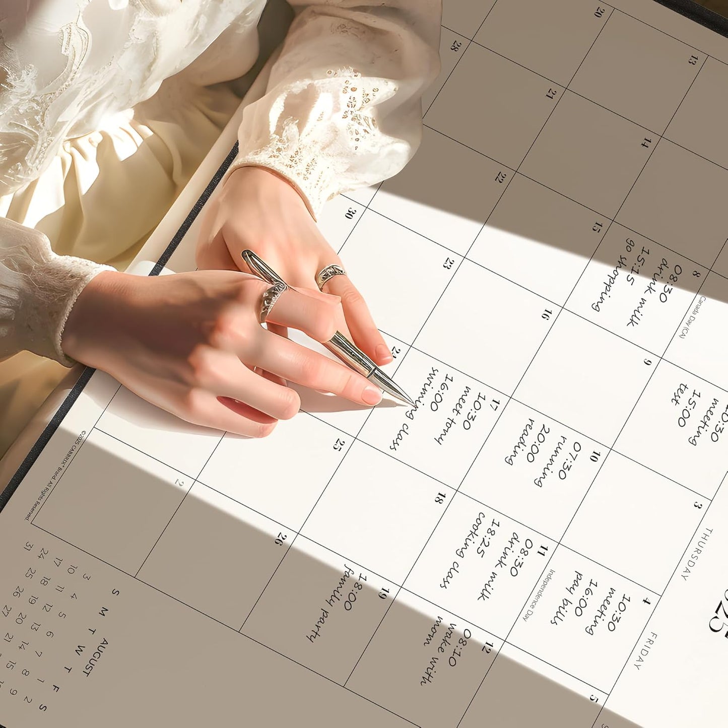 Simplified Desk Calendar 2025-2026 with Desktop Mat, Cabbrix Large Desk Pad Calendar 21" x 16-1/2" Covering July 2025 to June 2026, Desk Blotter Calendar 2025 for Home School and Office (Black)
