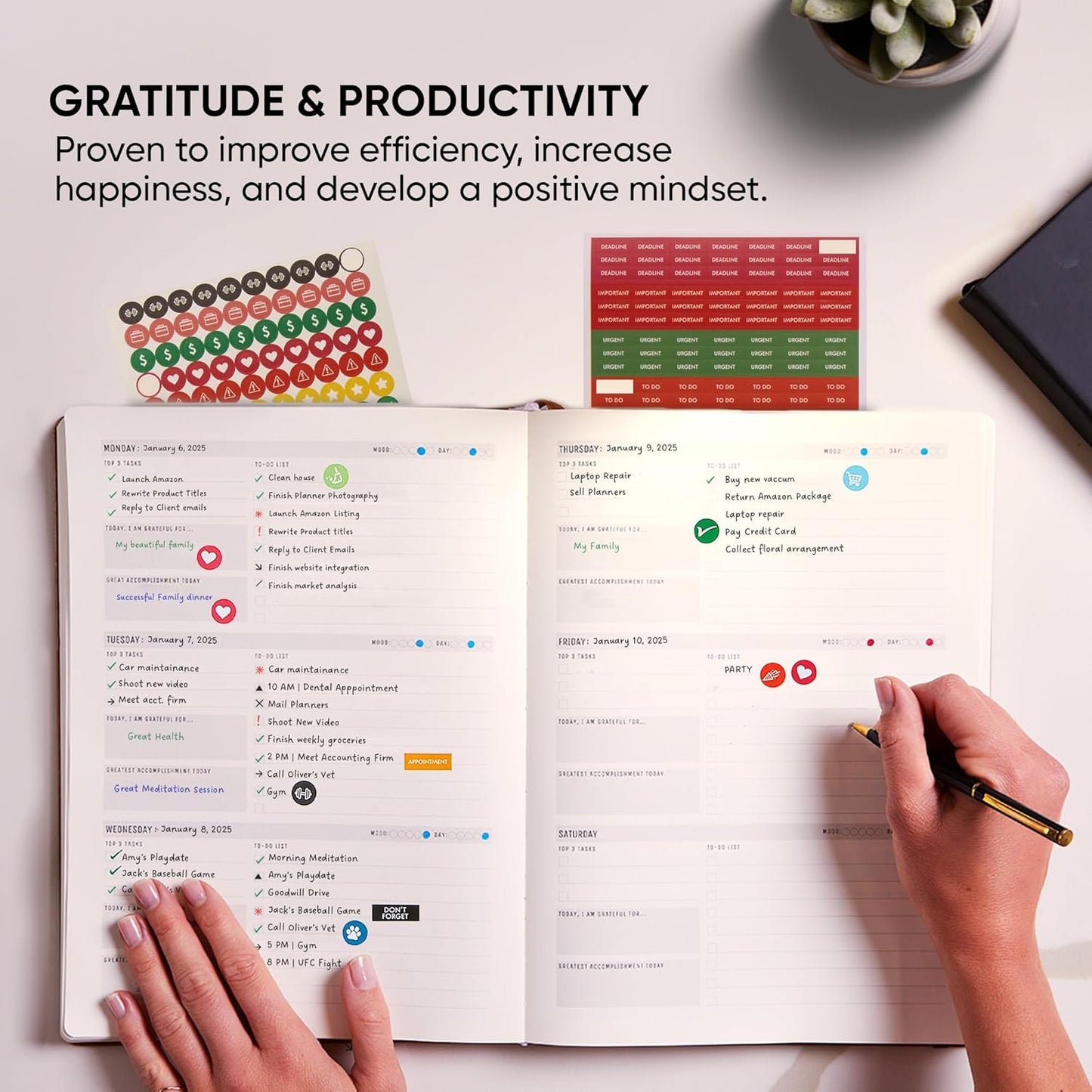 Undated, 2025 Planner, 8.5" x 11" - The #1 Productivity Planner to Achieve Your 2025 Goals - Planner 2025-2026 by PRODUCTIVITY STORE (A4, GREY)